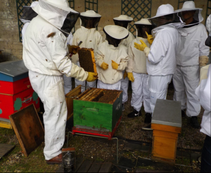 Découvrir ou redécouvrir le rucher à l’occasion du 10ème anniversaire